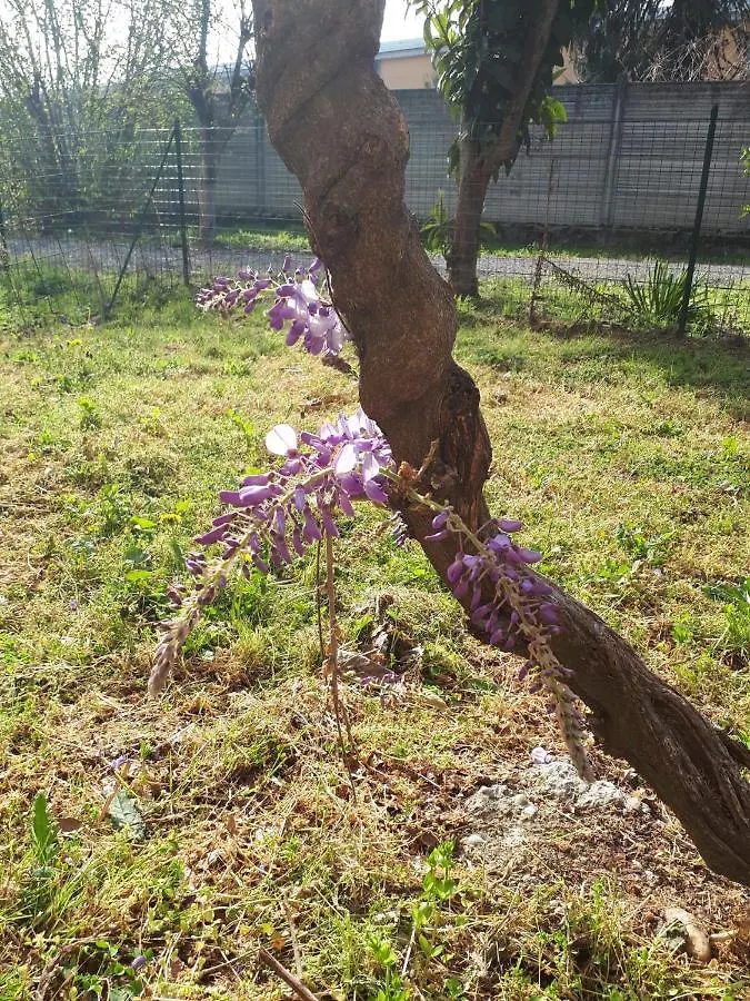 Appartamento In Cascina Cortazza Cremona Vakantiehuis